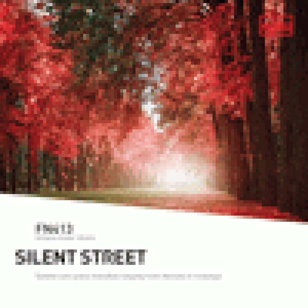 SILENT STREET