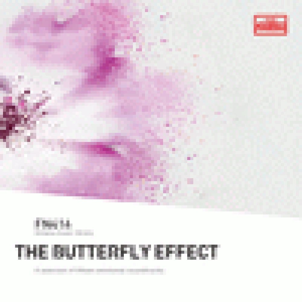 THE BUTTERFLY EFFECT