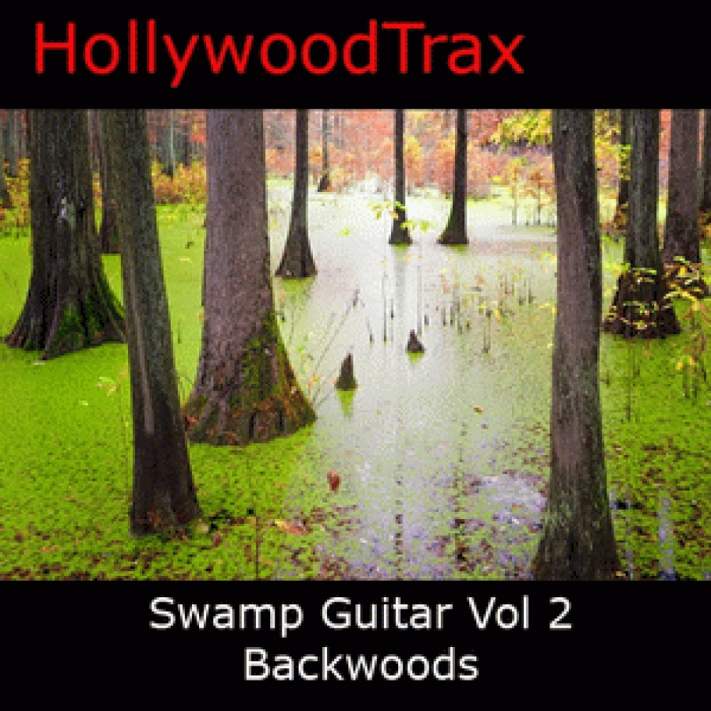 SWAMP GUITAR VOL 2 BACKWOODS