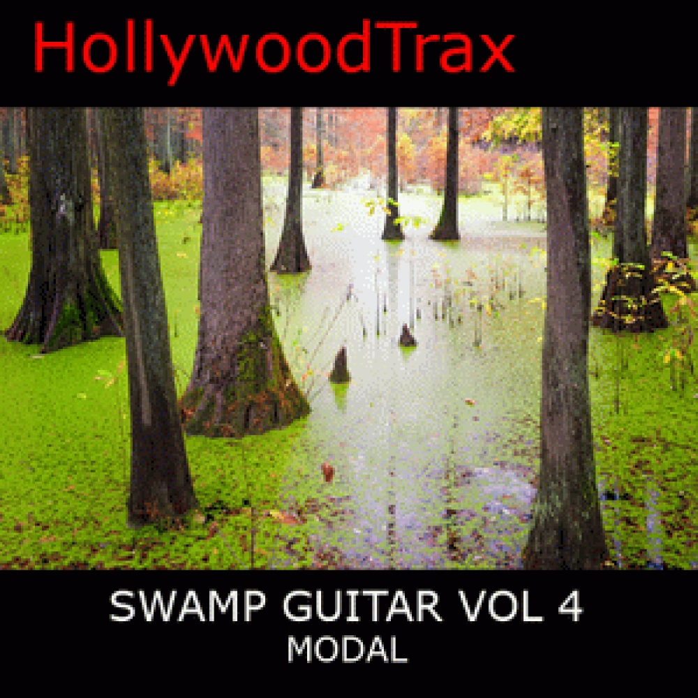 SWAMP GUITAR VOL 4 MODAL