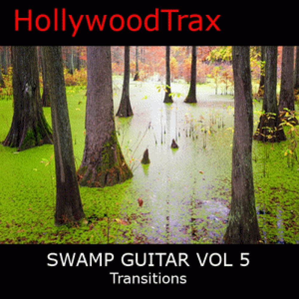 SWAMP GUITAR VOL 5 PLAY ONS