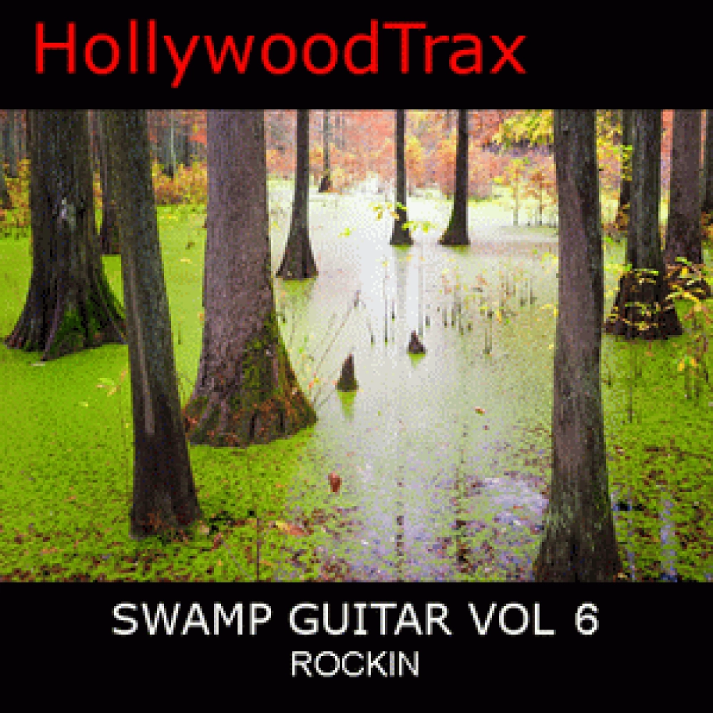 SWAMP GUITAR VOL 6 ROCKIN