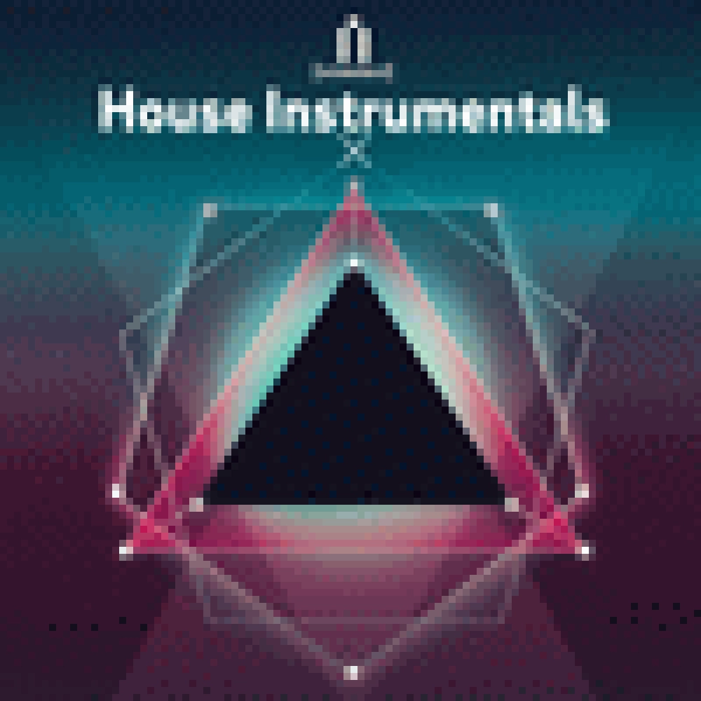 HOUSE INSTRUMENTALS 01