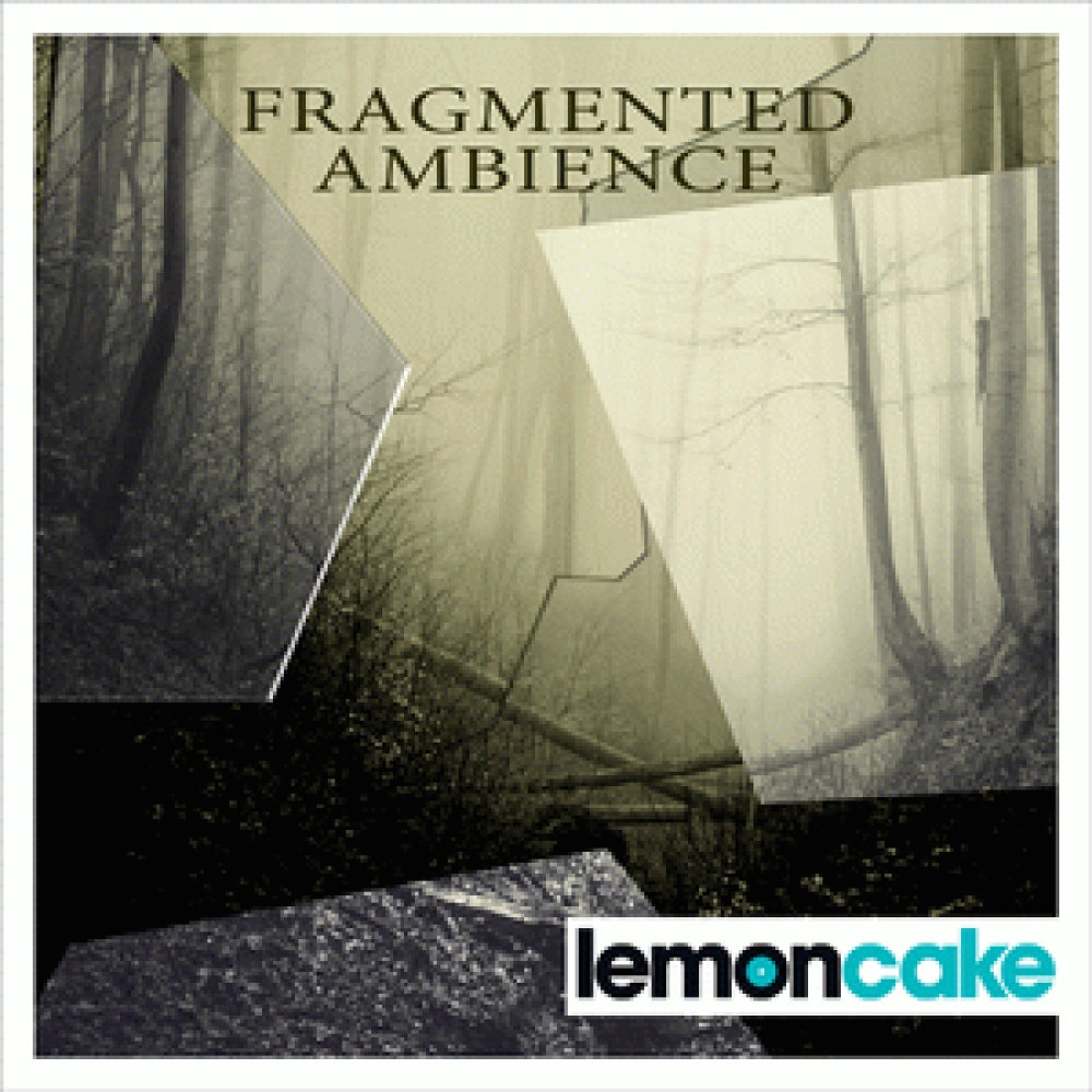 FRAGMENTED AMBIENCE