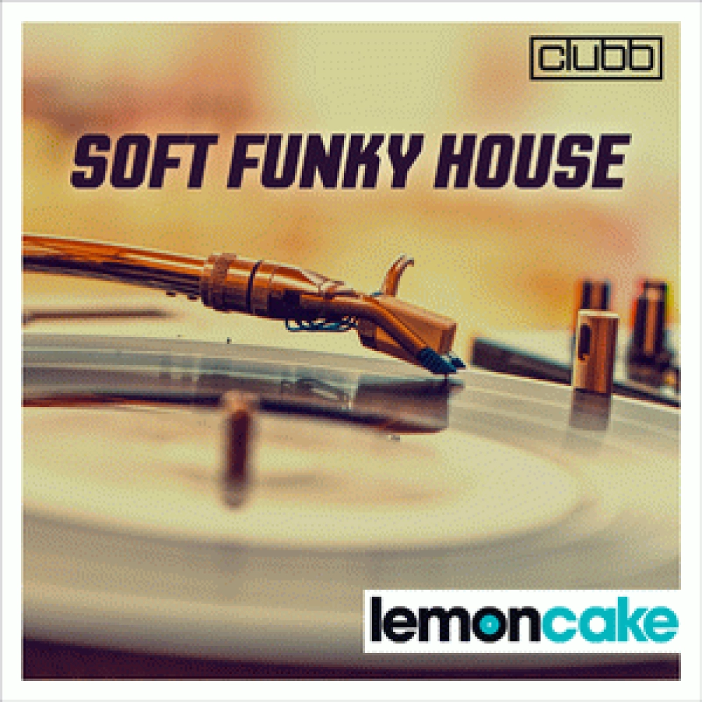 SOFT FUNKY HOUSE