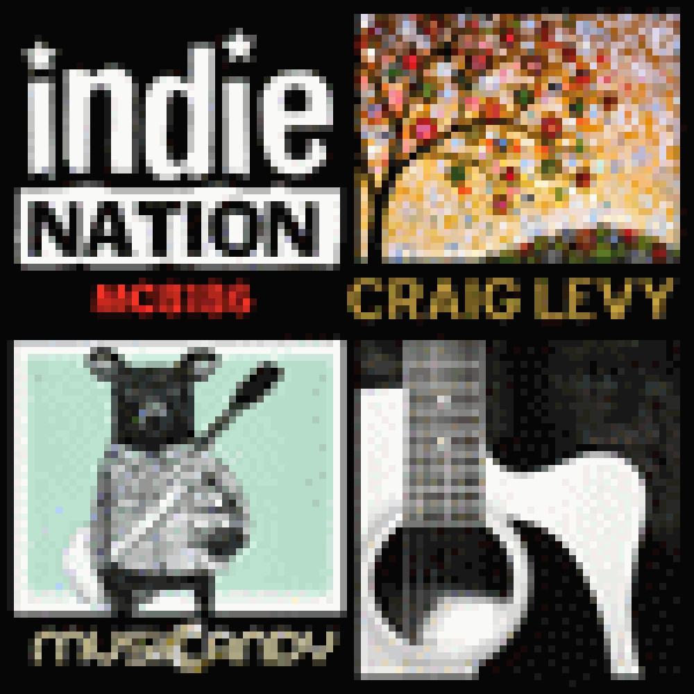 INDIE NATION