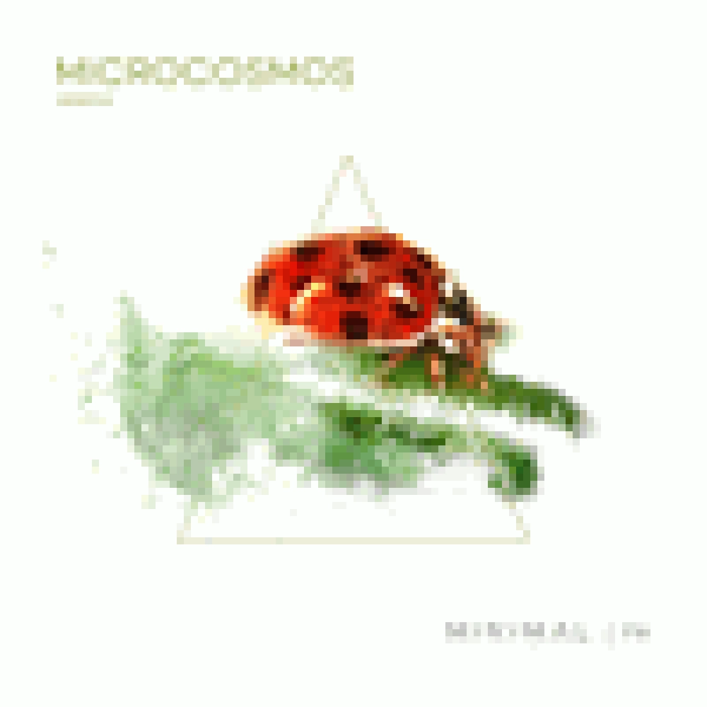 MICROCOSMOS