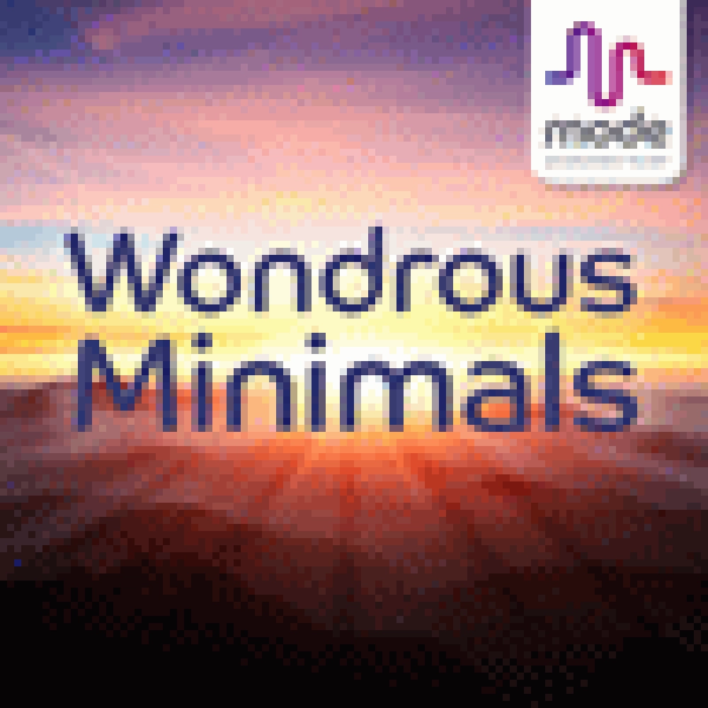 WONDROUS MINIMALS