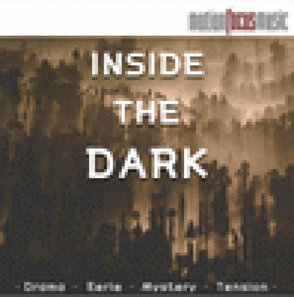 INSIDE THE DARK