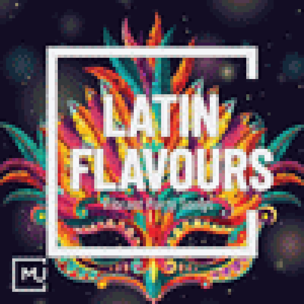 LATIN FLAVOURS