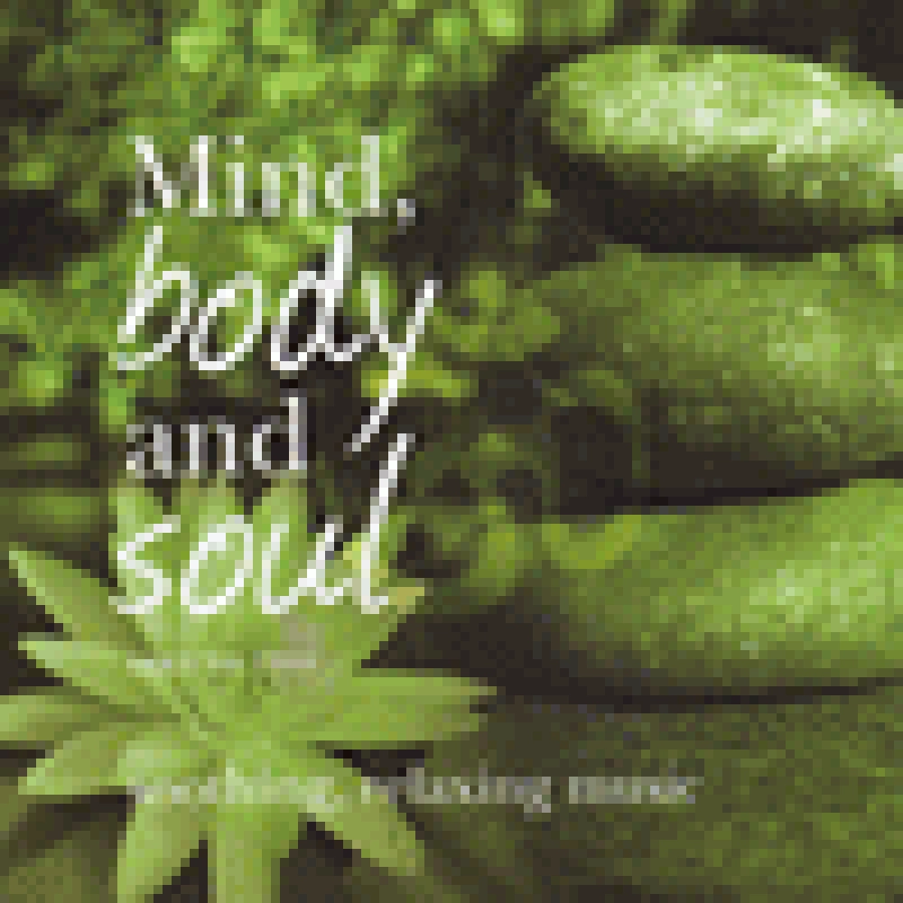 MIND, BODY AND SOUL VOL TWO