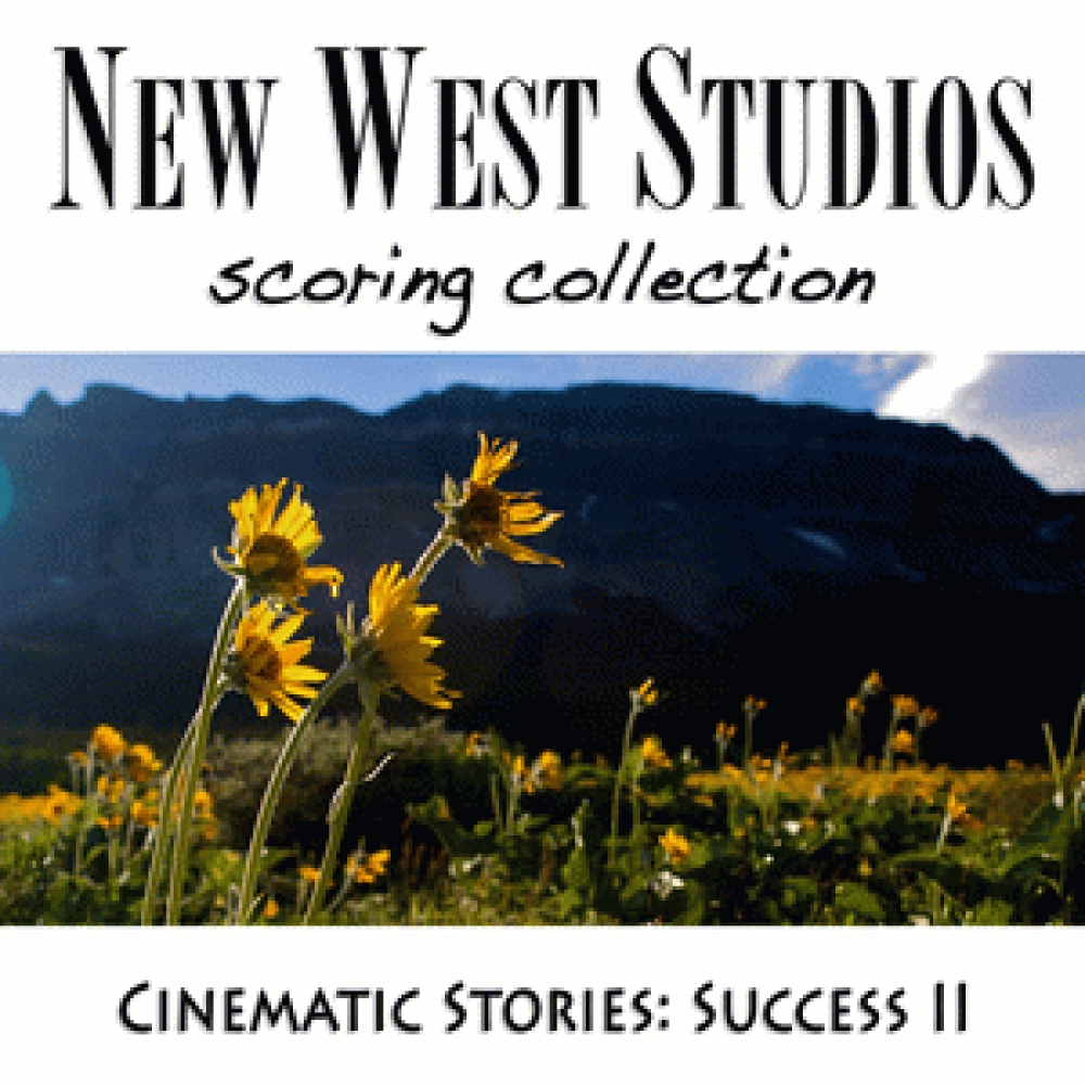 SUCCESS II - CINEMATIC STORIES V24