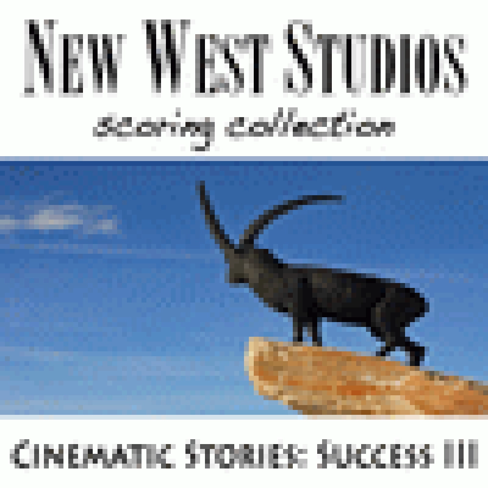 SUCCESS III - CINEMATIC STORIES V25