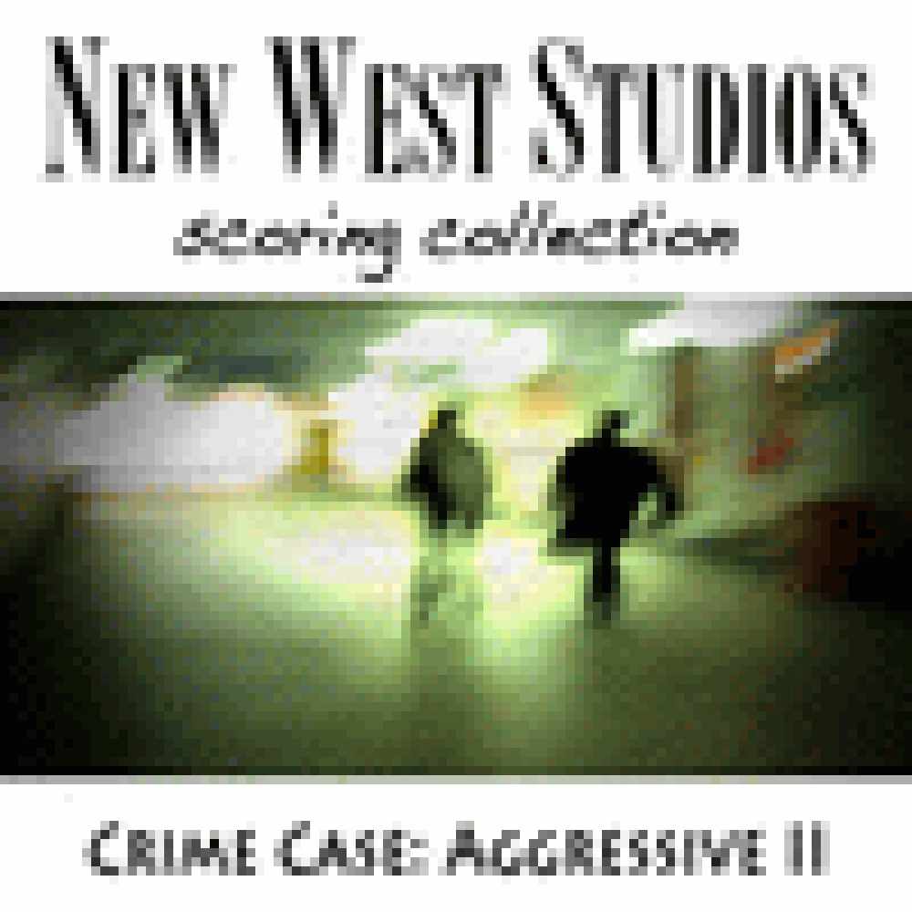AGGRESSIVE II - CRIME CASE V08
