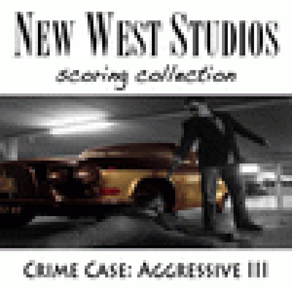 AGGRESSIVE III - CRIME CASE V16