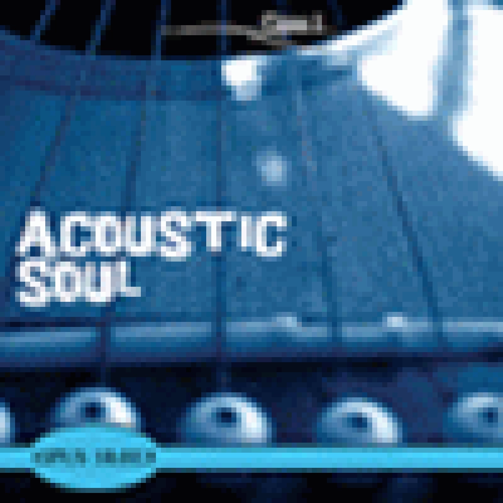 ACOUSTIC SOUL