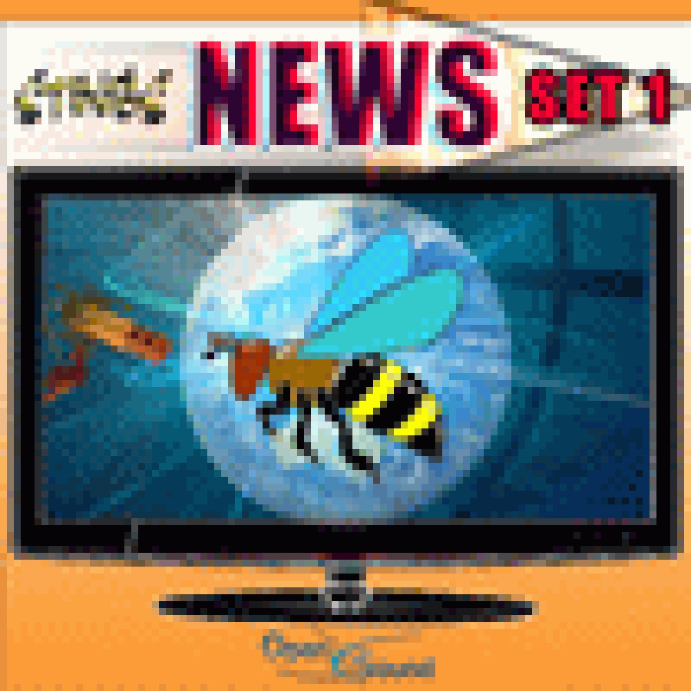 STINGS NEWS SET 1