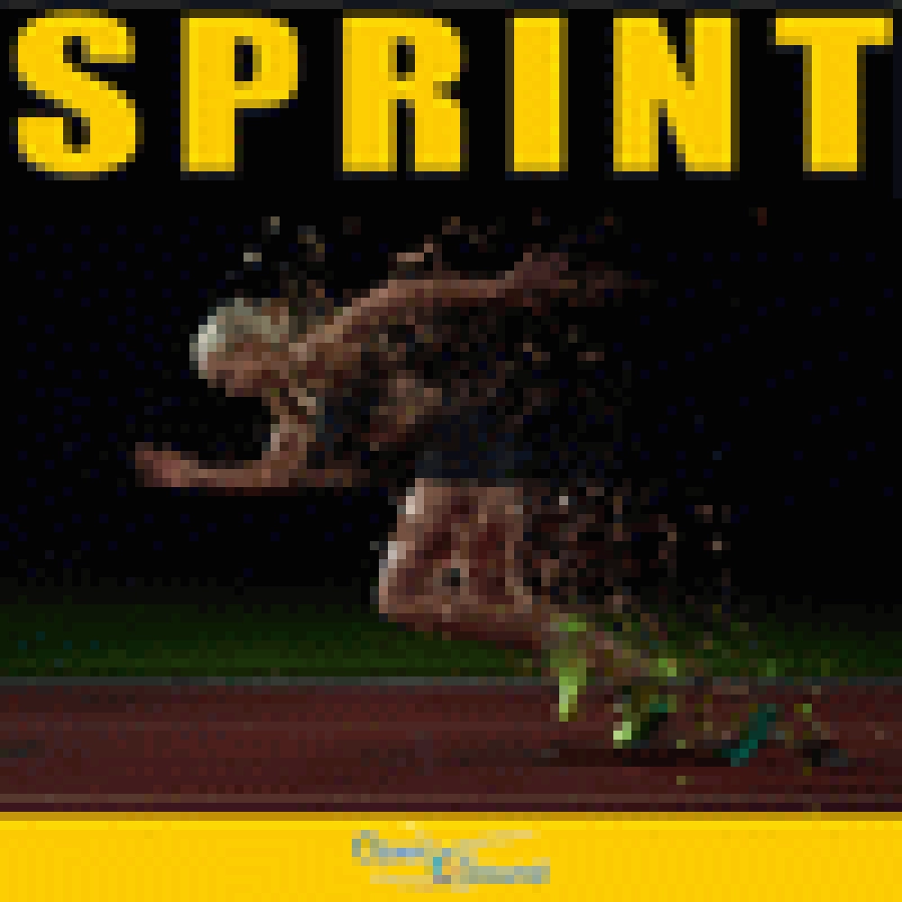 SPRINT