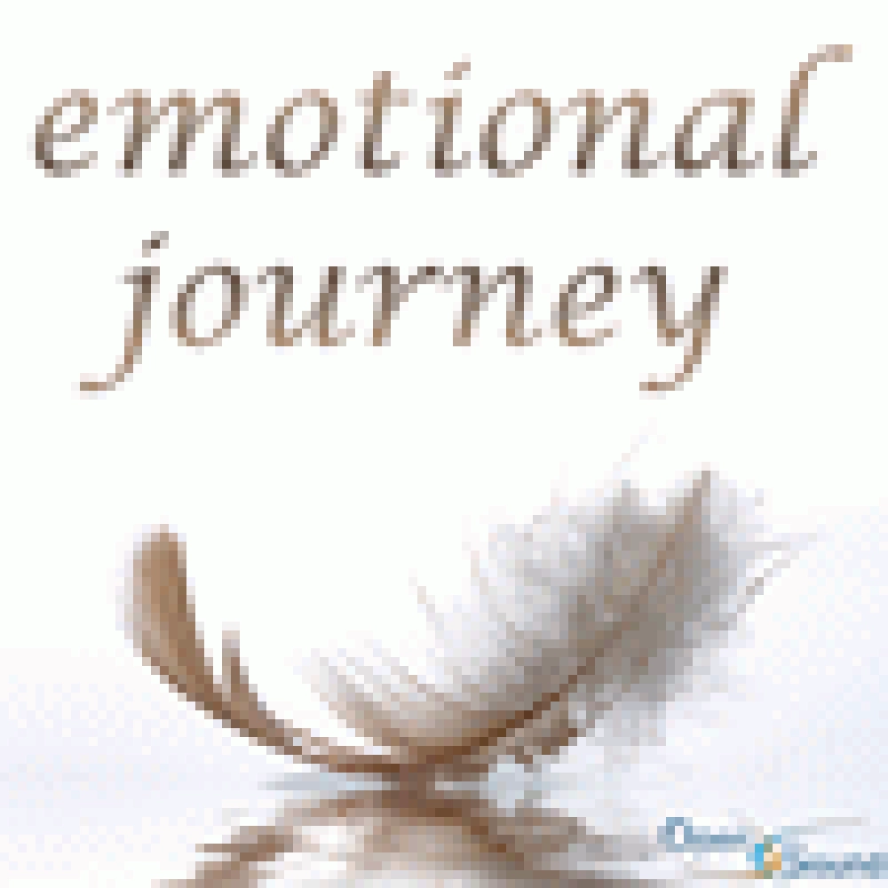 EMOTIONAL JOURNEY