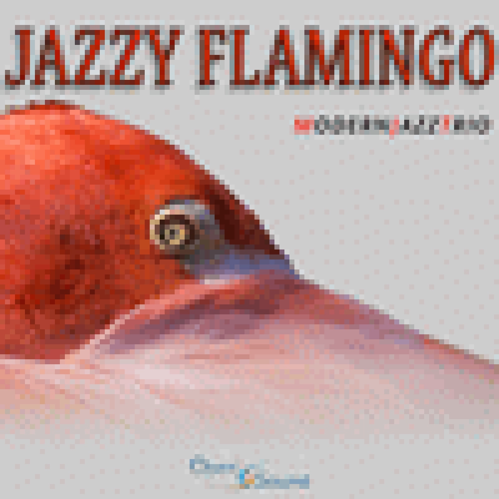 JAZZY FLAMINGO