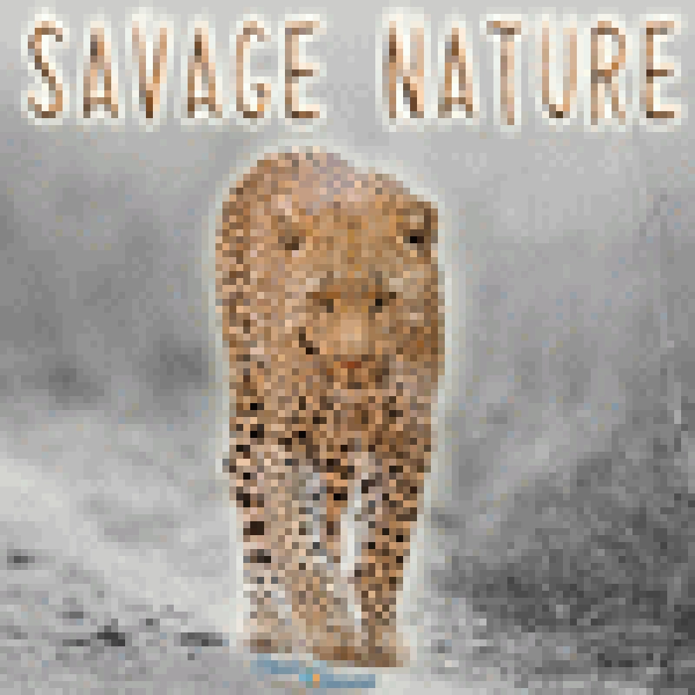 SAVAGE NATURE