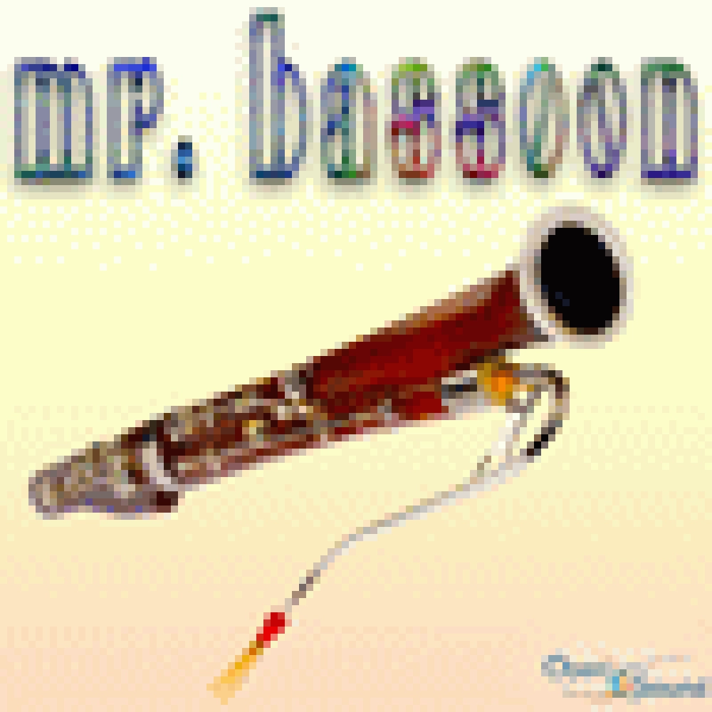 MR BASSOON