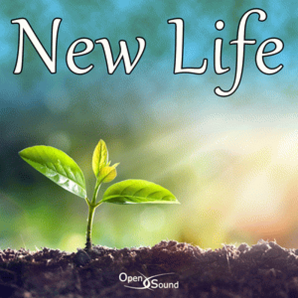 NEW LIFE