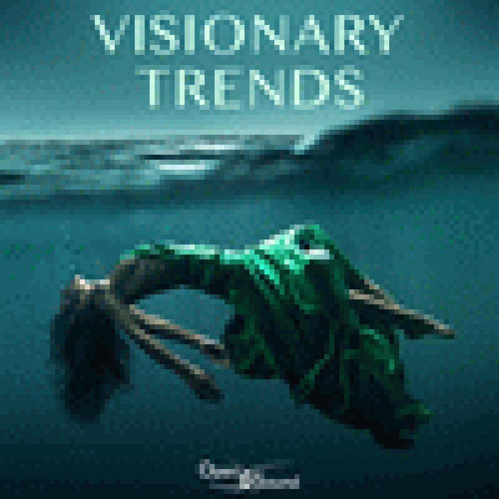 VISIONARY TRENDS