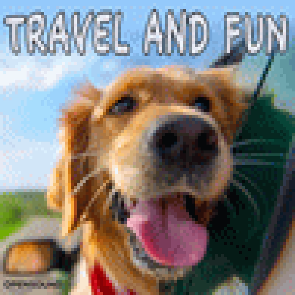 TRAVEL AND FUN