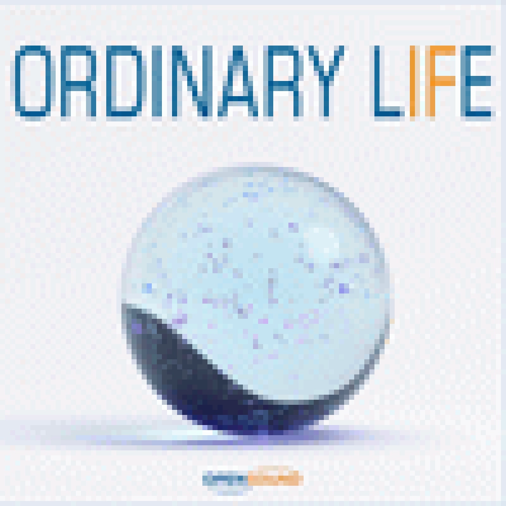 ORDINARY LIFE