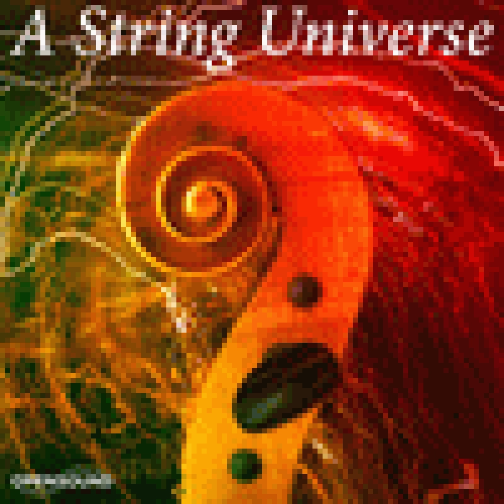 A STRING UNIVERSE