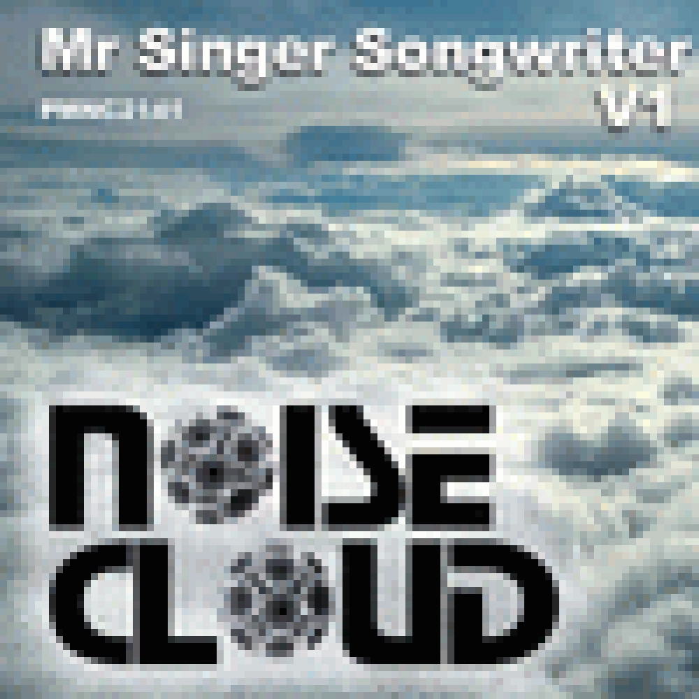 MR. SINGER SONGWRITER V1