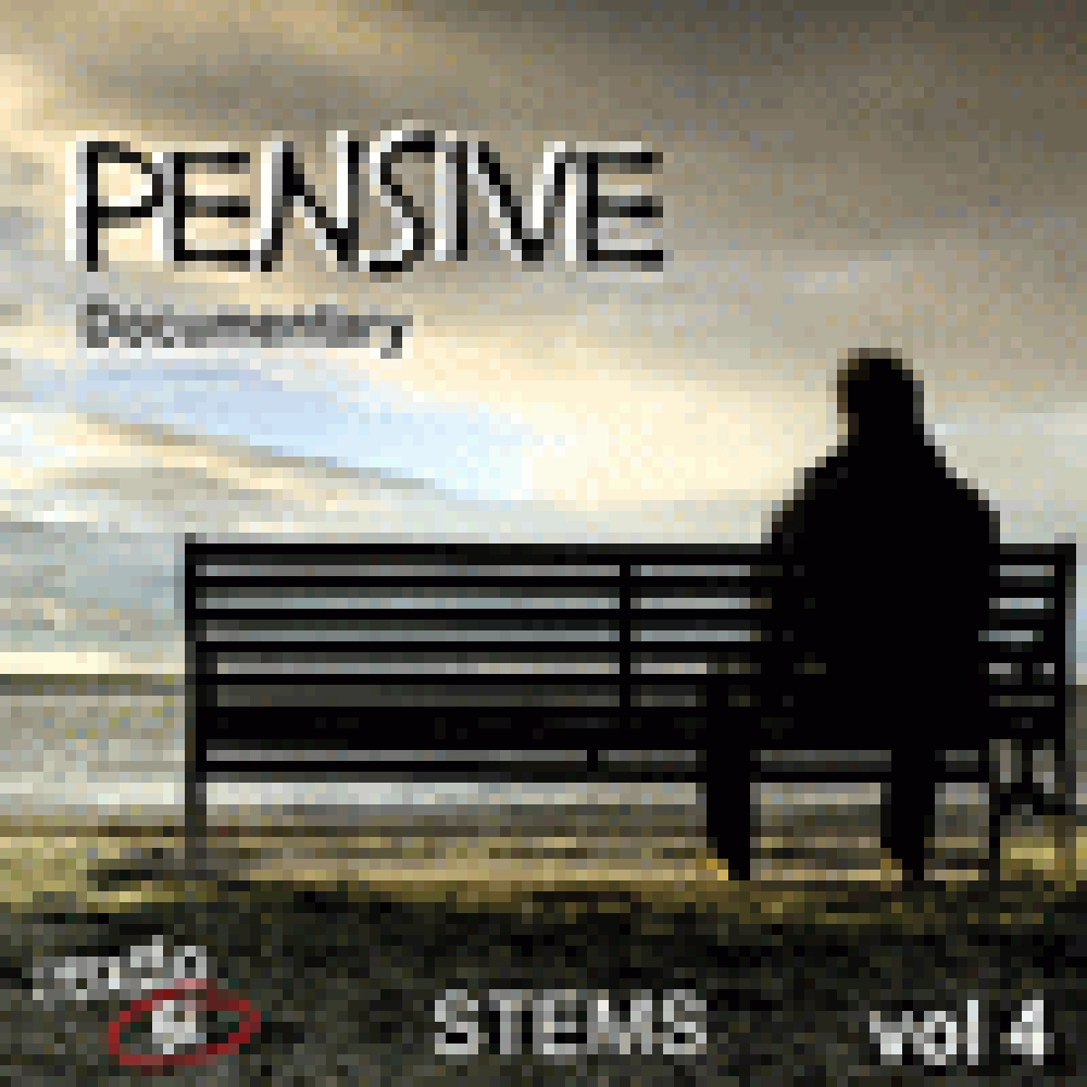 DOCUMENTARY - PENSIVE VOL.4