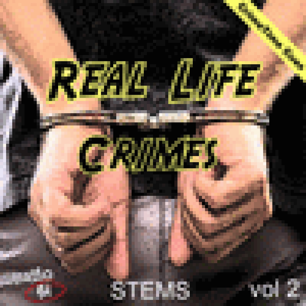 CRIME TIME CUES - REAL LIFE CRIMES VOL.2