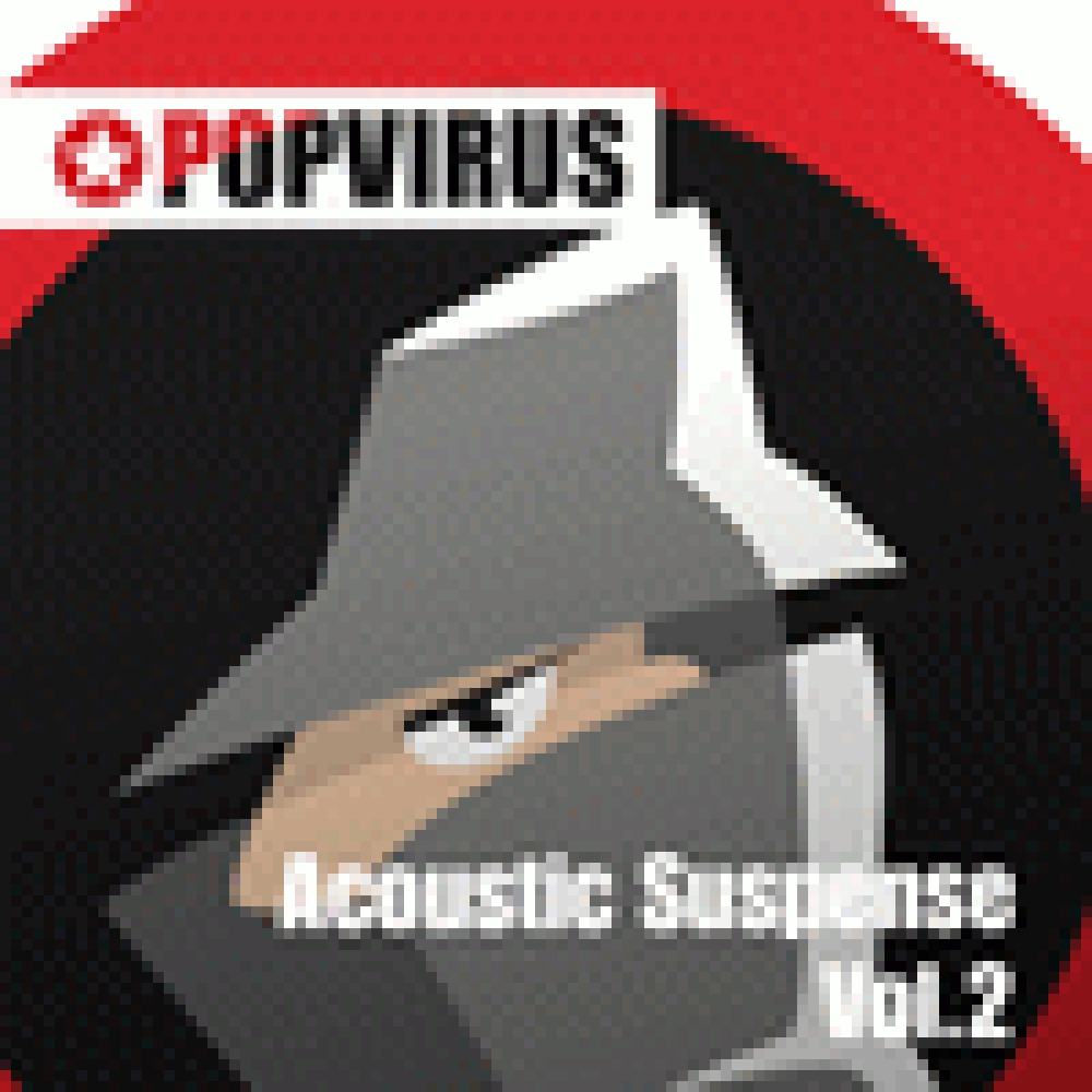 ACOUSTIC SUSPENSE VOL.2