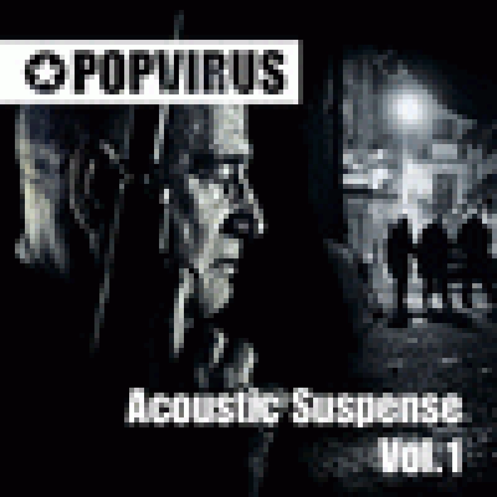 ACOUSTIC SUSPENSE