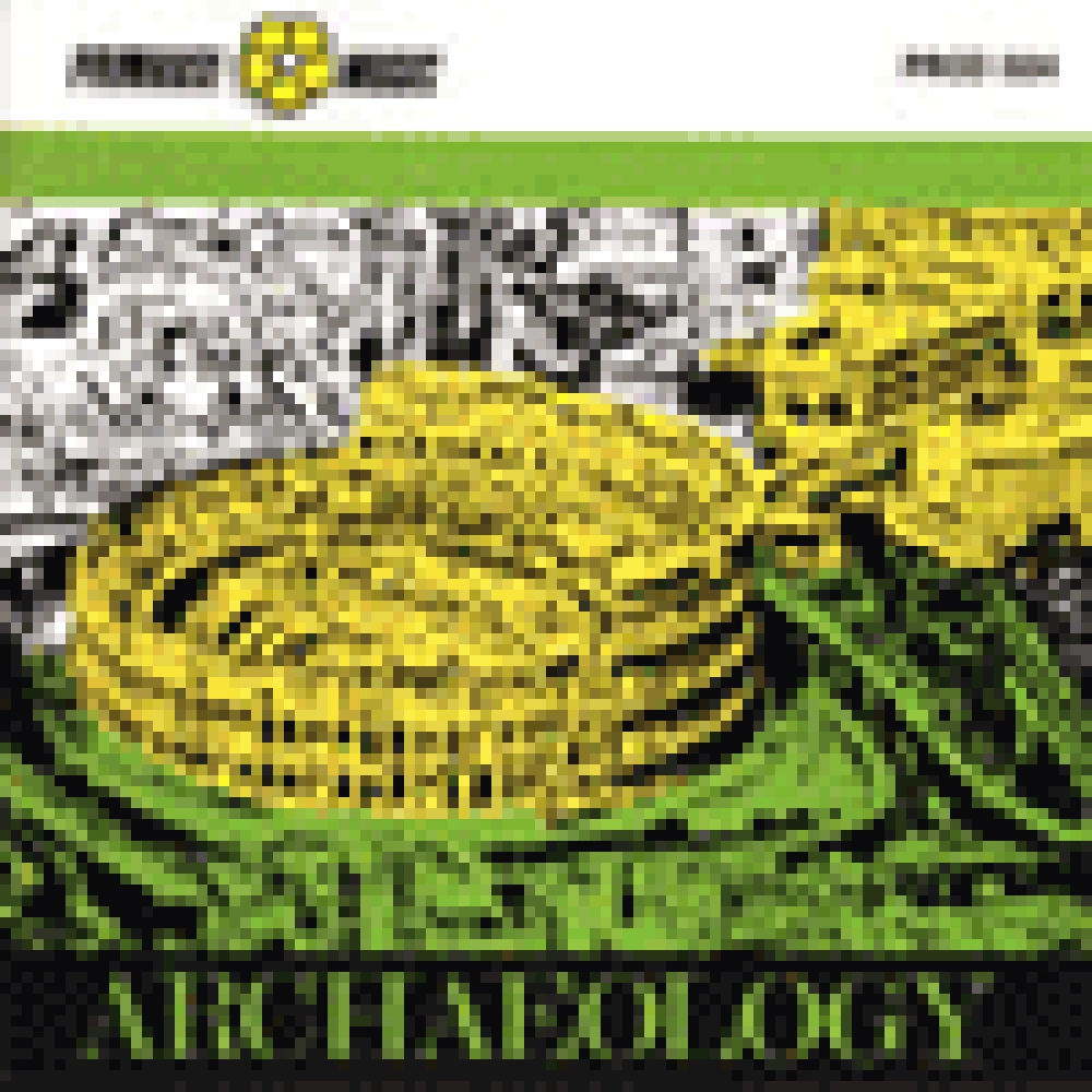 ARCHAEOLOGY