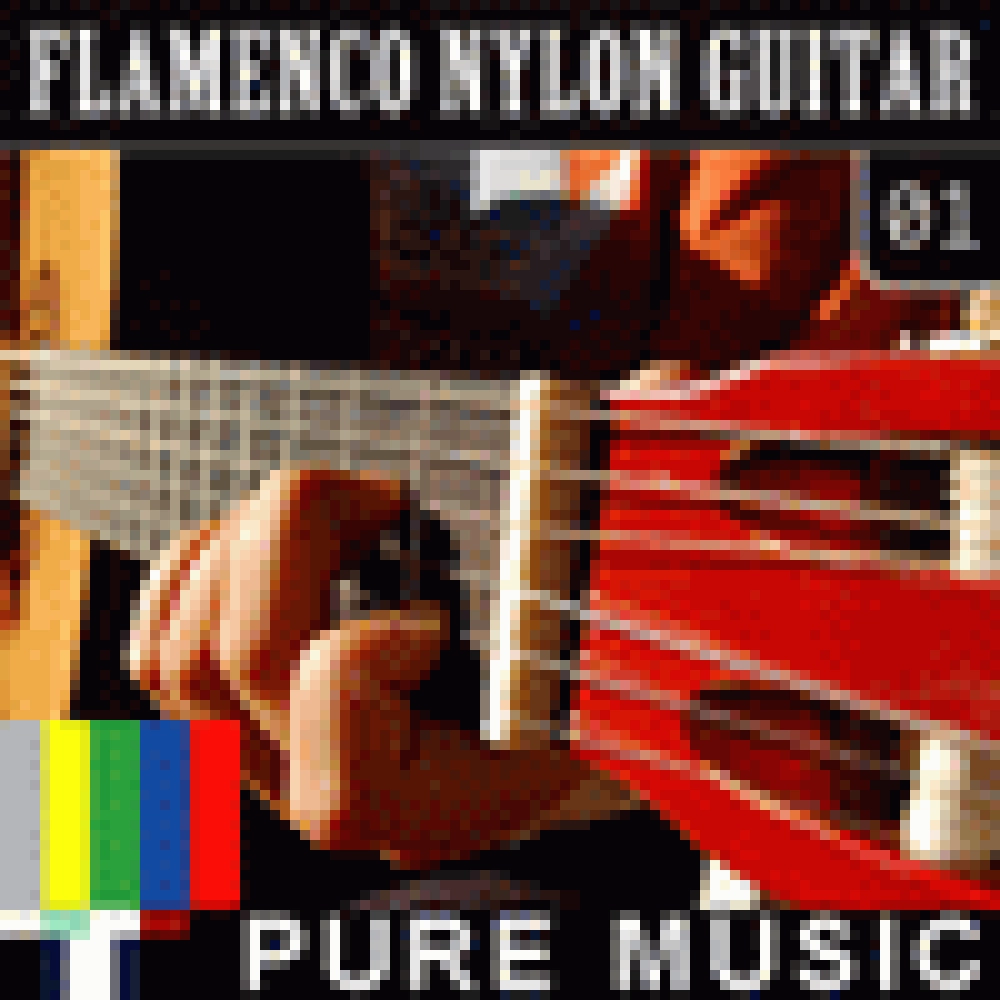 FLAMENCO NYLON GUITAR 01