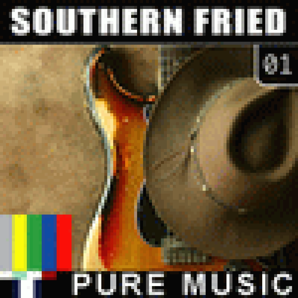 SOUTHERN FRIED 01