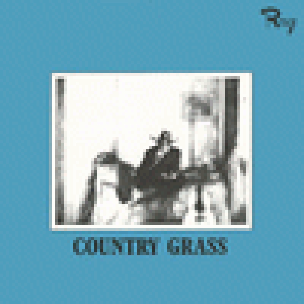 COUNTRY GRASS