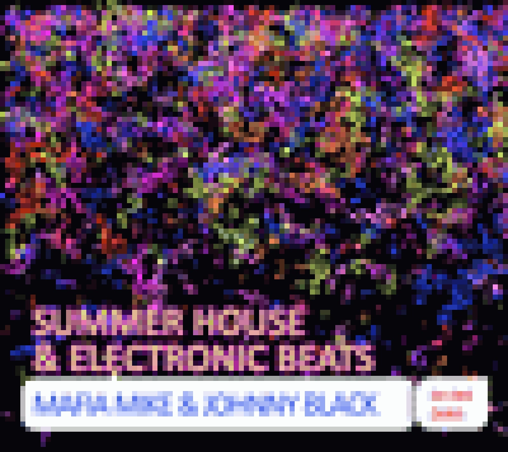 SUMMER HOUSE & ELECTRONIC BEATS