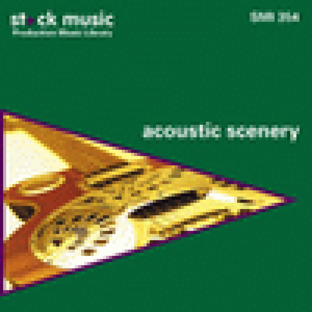 ACOUSTIC SCENERY