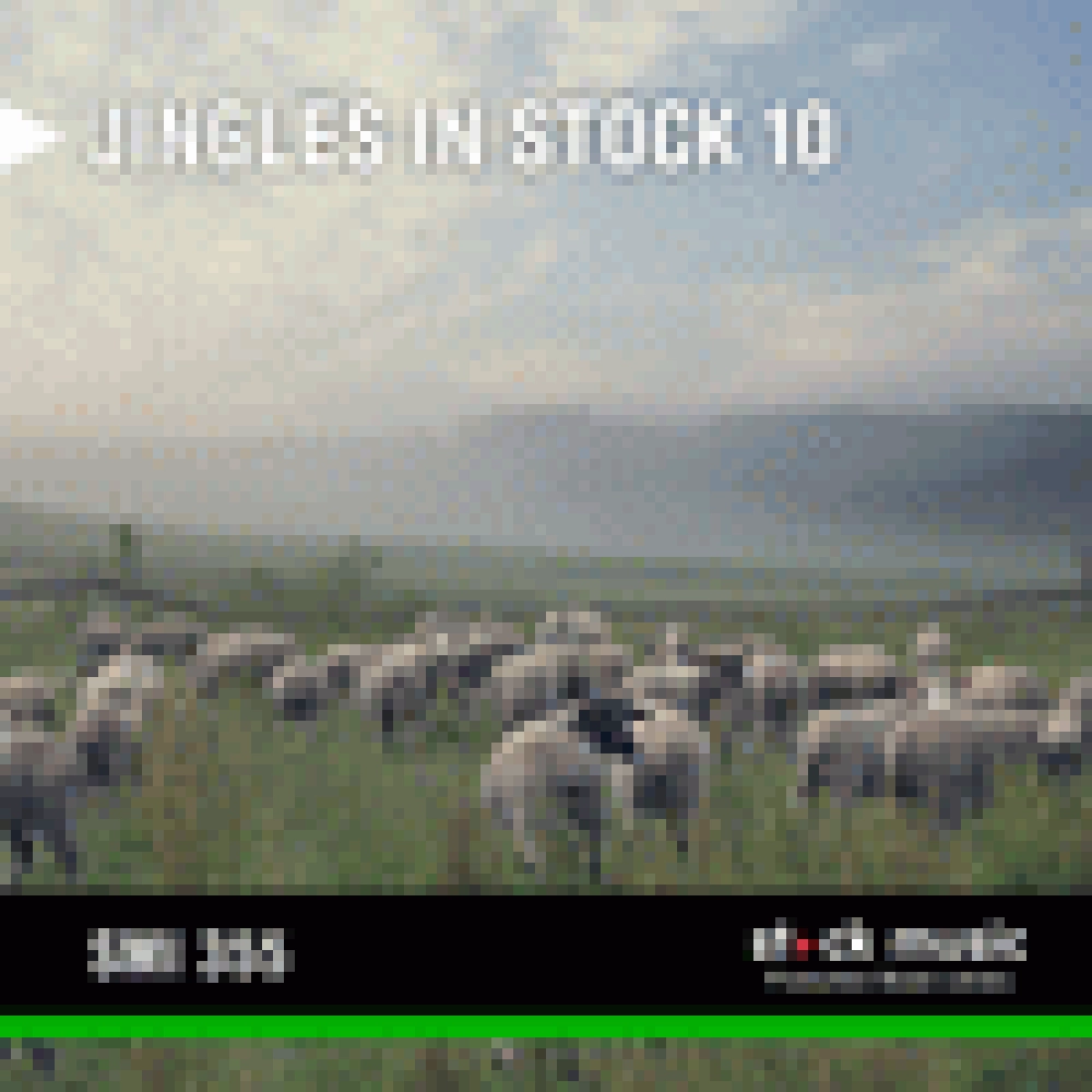 JINGLES IN STOCK 10