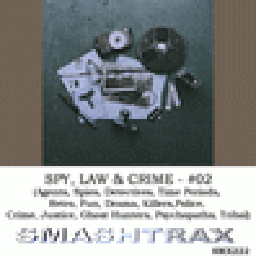 SPY/LAW/CRIME VOL. 02 