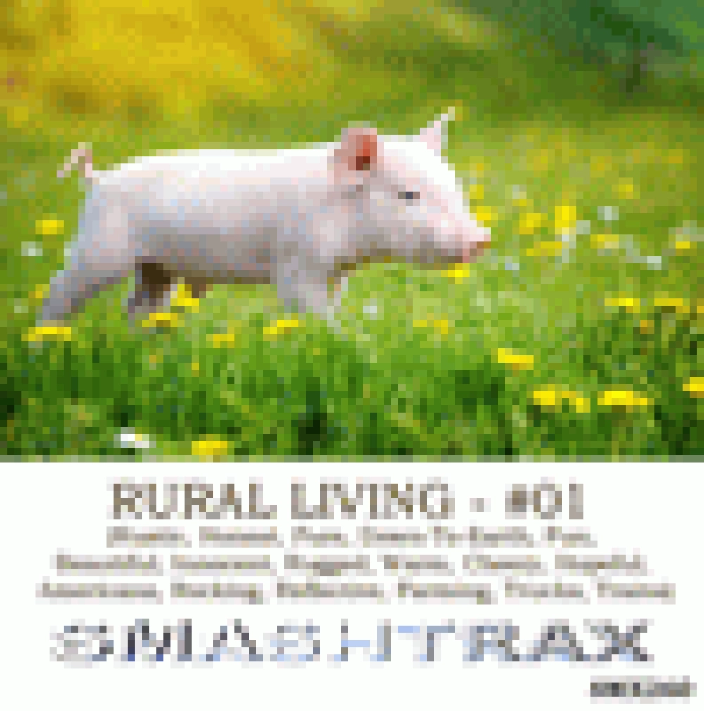 RURAL LIVING VOL 1