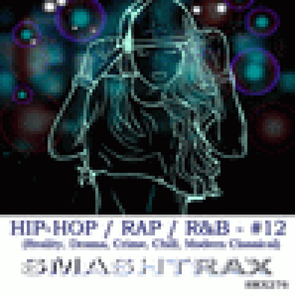 HIP-HOP / RAP / R&B VOL. 12