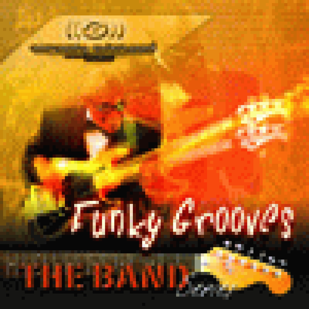 THE BAND - FUNKY GROOVES