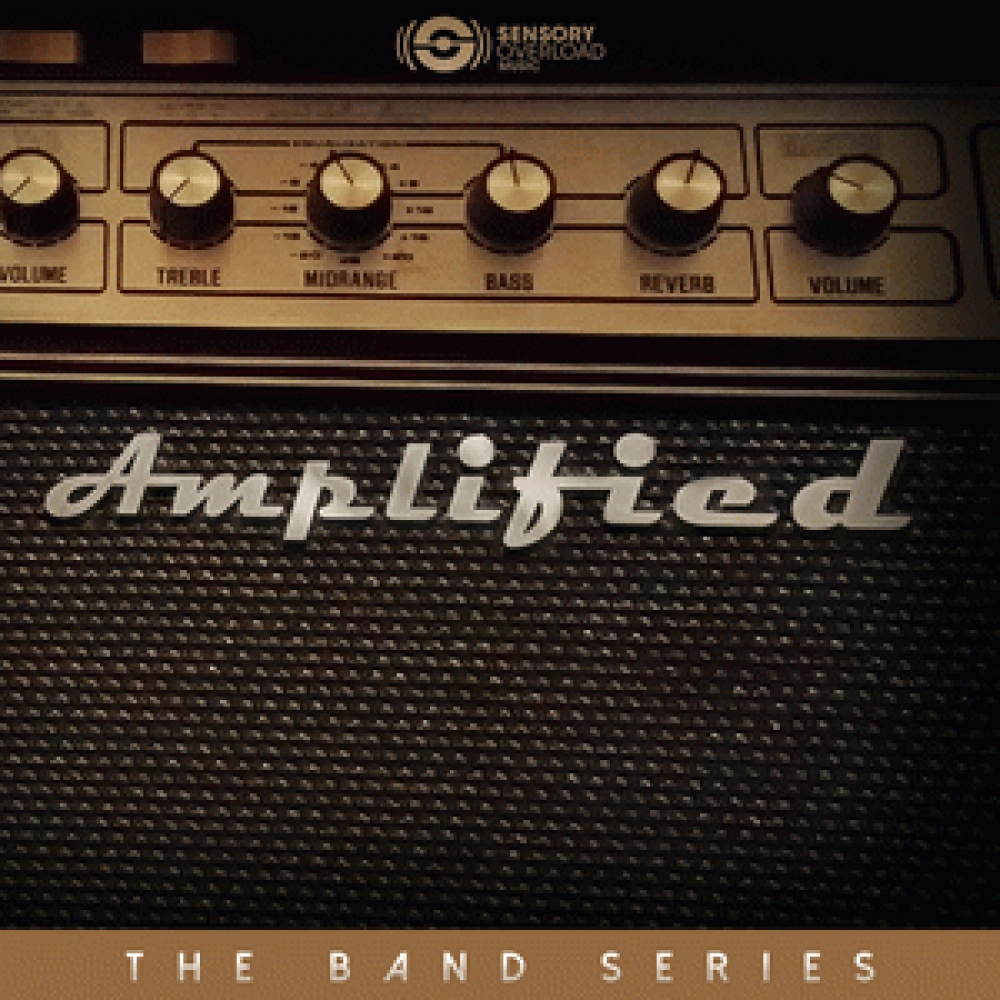 THE BAND - AMPLIFIED