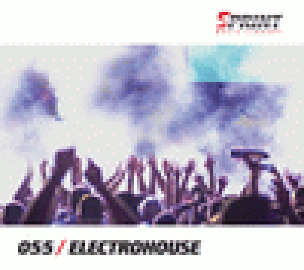 ELECTROHOUSE