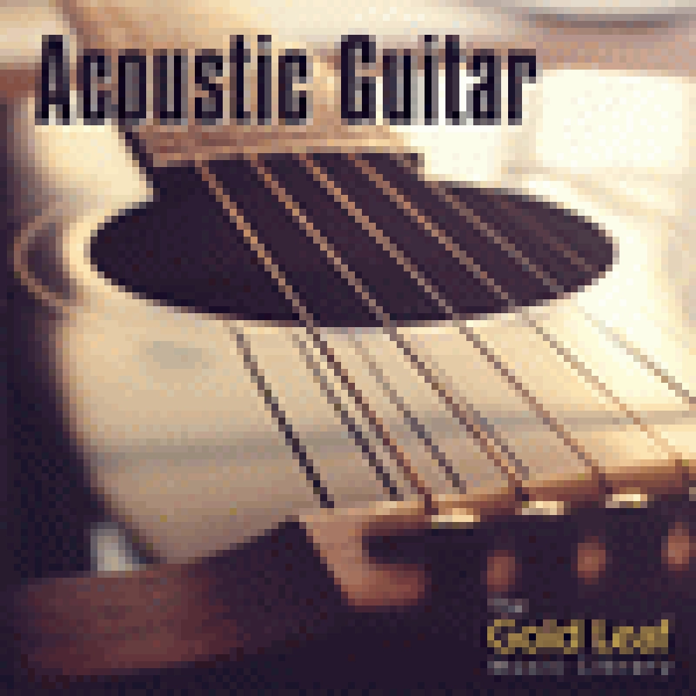 ACOUSTIC GUITAR